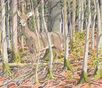 Neil Welliver Deer Etching, Aquatint, Signed Edition - Sold for $2,000 on 01-29-2022 (Lot 333).jpg